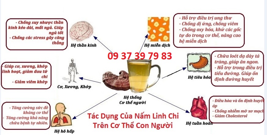 Trà Linh Chi