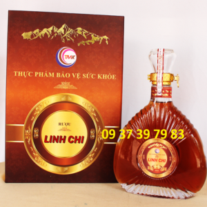 Rượu Linh Chi Thái Minh